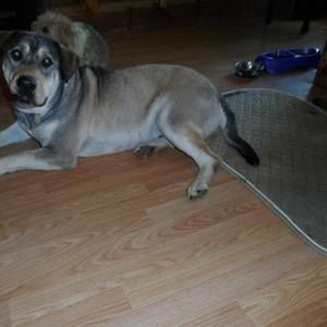 Meet your Posher, Charolette